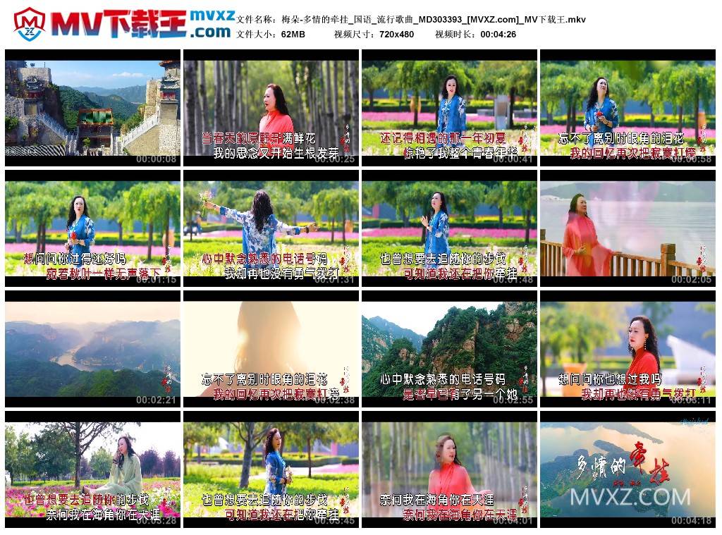 梅朵-多情的牵挂_国语_流行歌曲_MD303393
